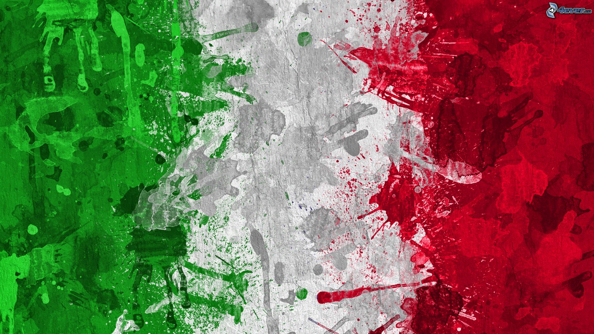 Bandiera Italiana Verde Bianco Rosso Colori Salone Della Giustizia